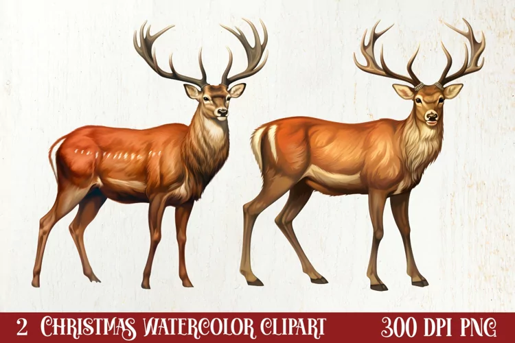 Vintage Christmas Clipart Sublimation, Christmas Clipart