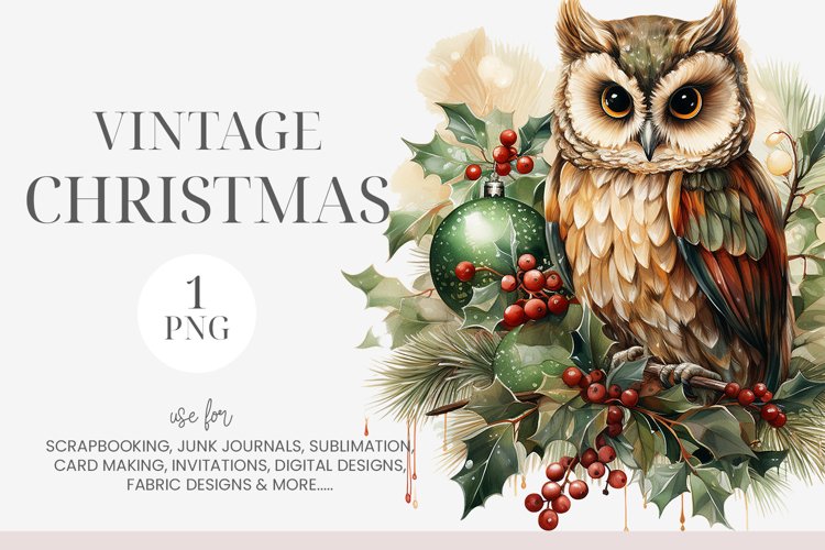 Owl Clipart Image 14