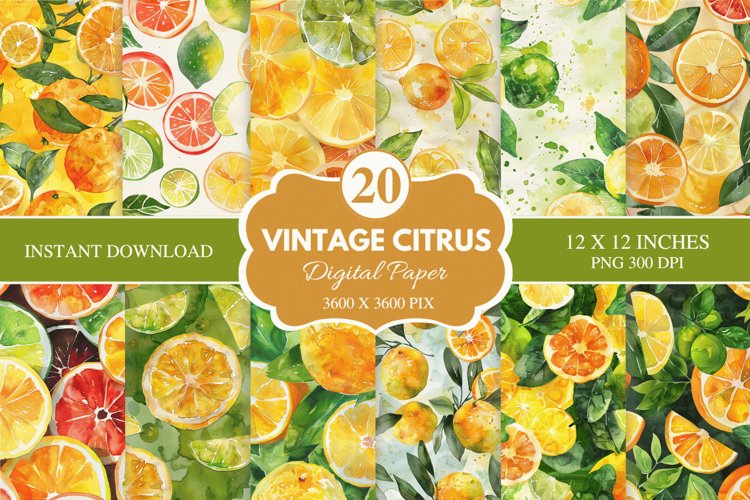 Vintage Citrus Digital Paper Bundle