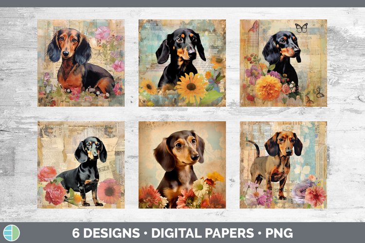 Dog Background Image 19