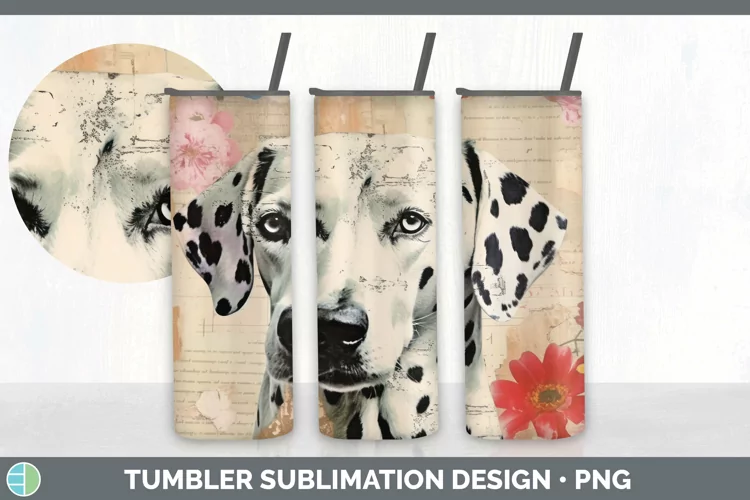 Vintage Dalmatian Dog Tumbler | Sublimation 20 oz Skinny Tum