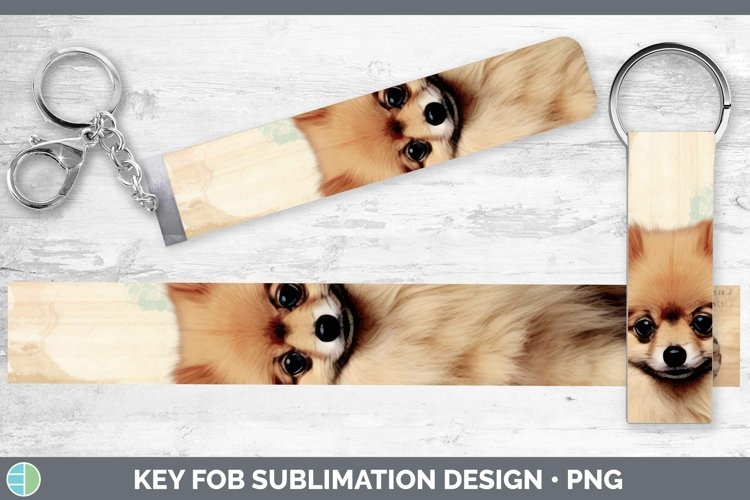 Pomeranian Clipart Image 24