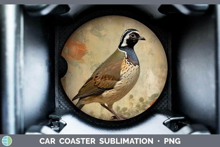 Quail Clipart Image 22