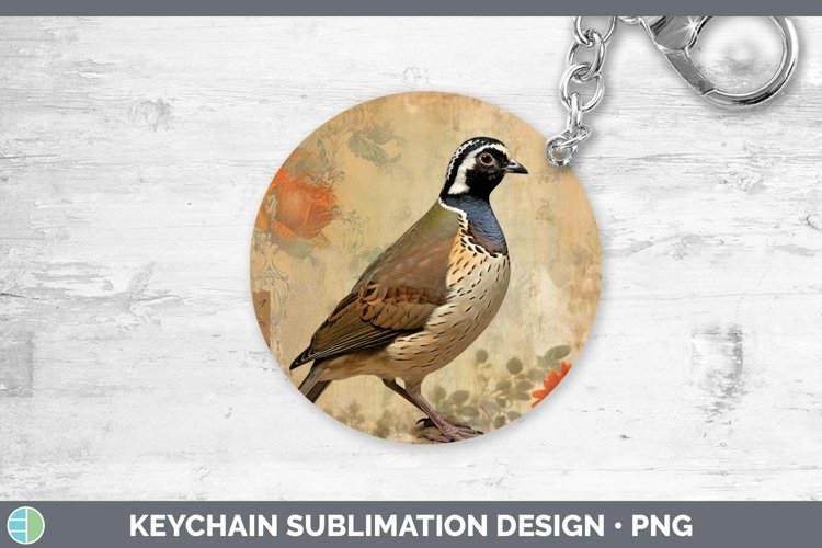 Quail Clipart Image 21