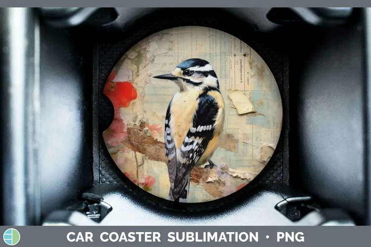Vintage Decoupage Woodpecker Downy Car Coaster | Sublimation