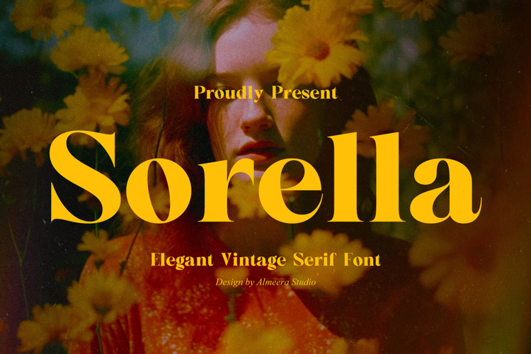 Modern Serif Font Image 4