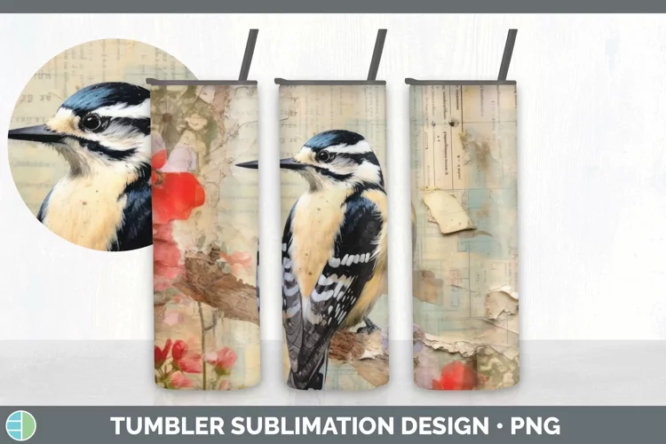 Vintage Downy Woodpecker Bird Tumbler | Sublimation 20 oz Sk