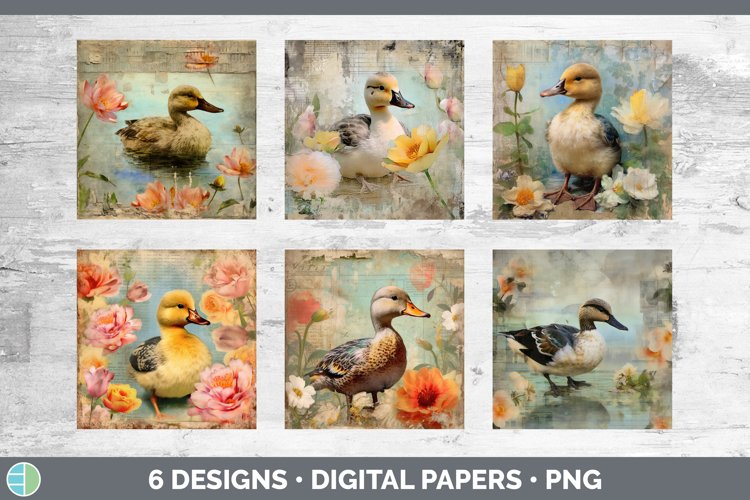 Duck Illustration Image 18