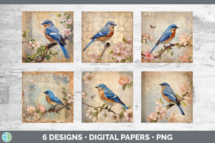 Bluebird Clipart Image 22