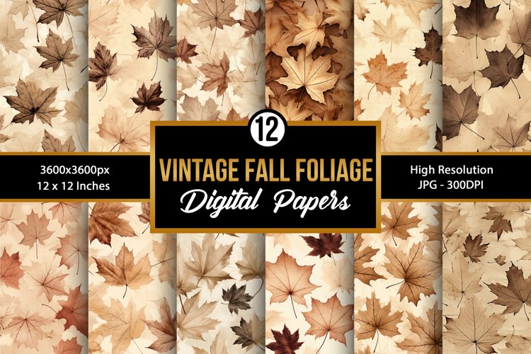 Fall Leaves Clipart Image 13