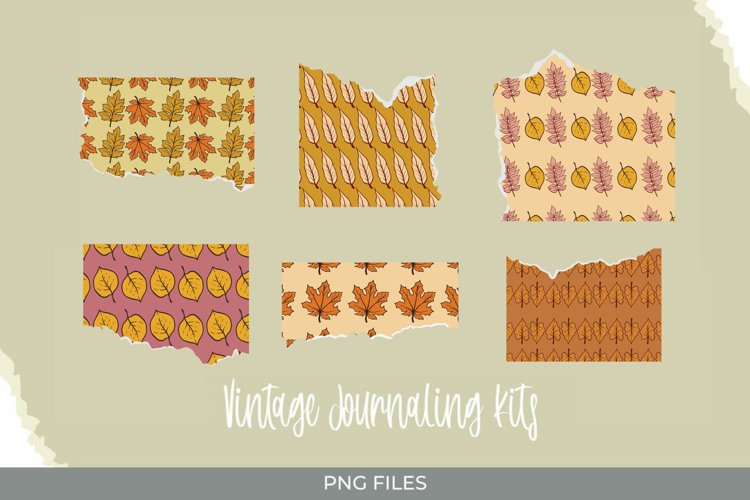 Fall Leaves Png Image 12