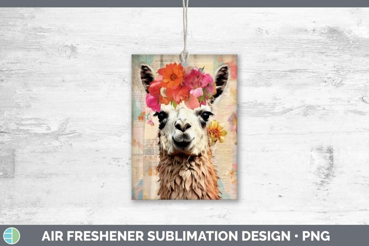 Llama Clipart Image 23