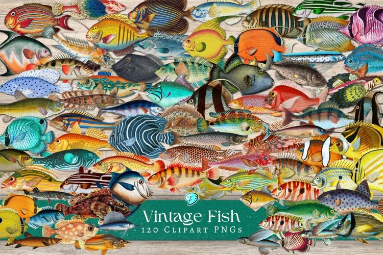 Fish Clipart Image 12