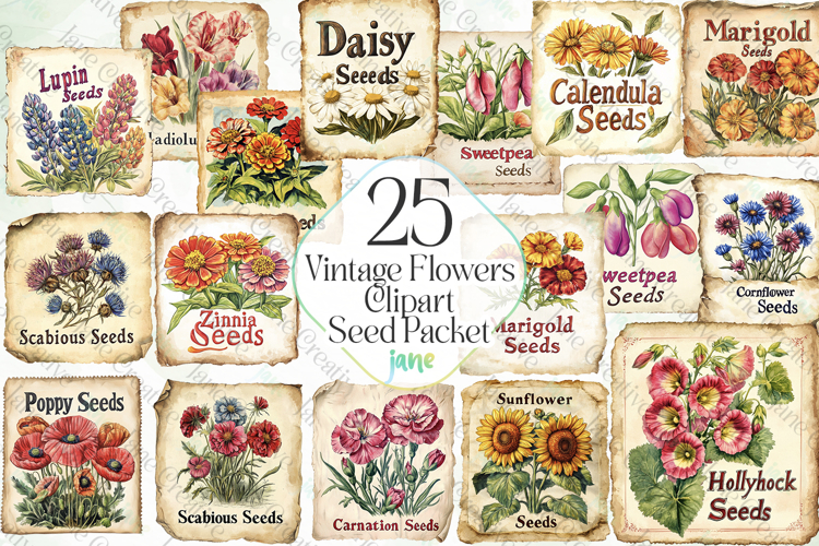 Vintage Flowers Clipart Seed Packet example image 1