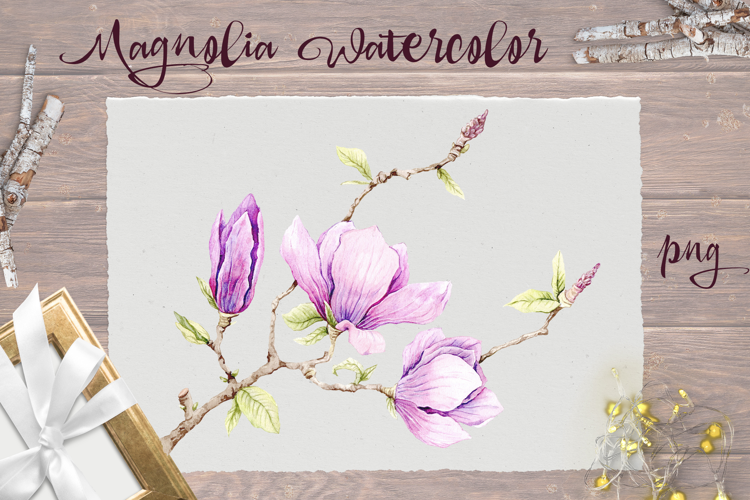 Delicate Magnolia print Png