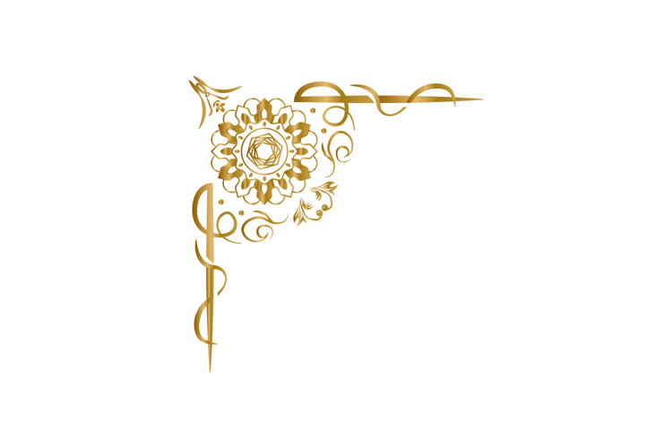 Ornament Vector Image 2