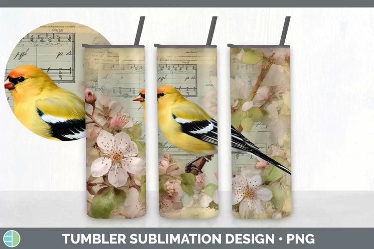 Vintage Goldfinch Bird Tumbler | Sublimation 20 oz Skinny Tu