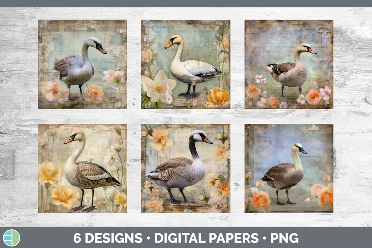 Geese Clipart Image 17