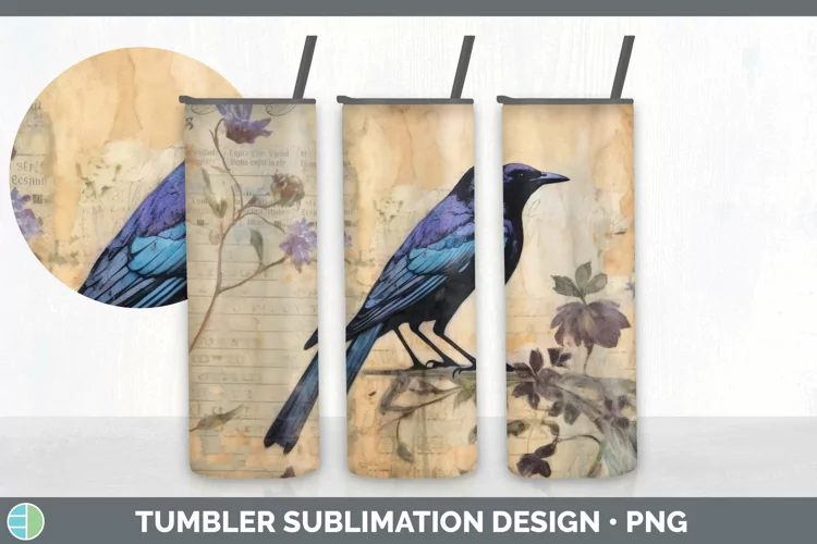Vintage Grackle Bird Tumbler | Sublimation 20 oz Skinny Tumb