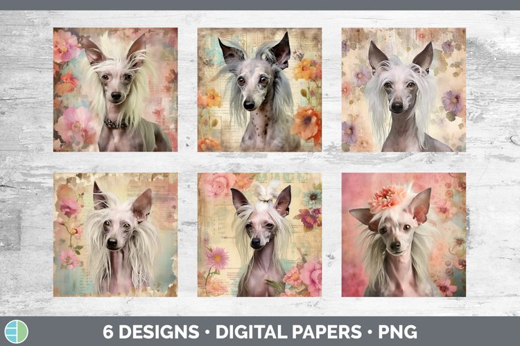 Vintage Hairless Chinese Crested Dog Paper Backgrounds | Dig
