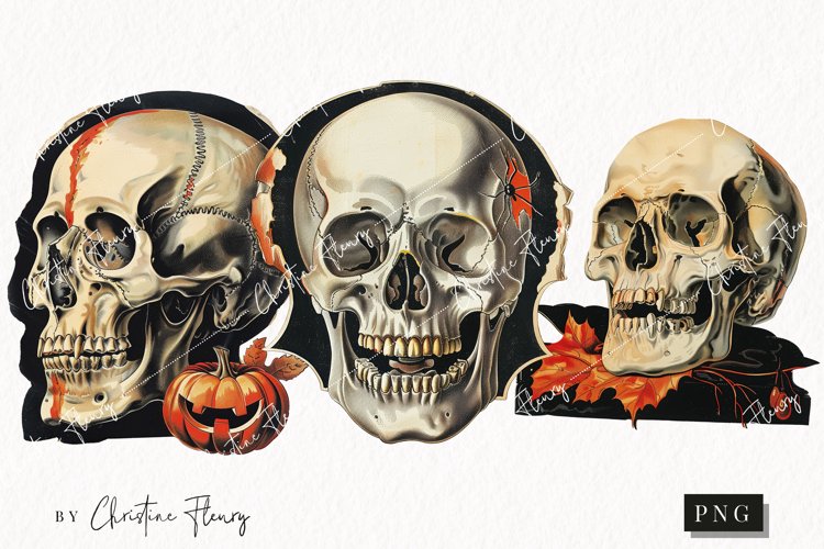 Vintage Halloween Skulls Clipart | Halloween PNG example image 1