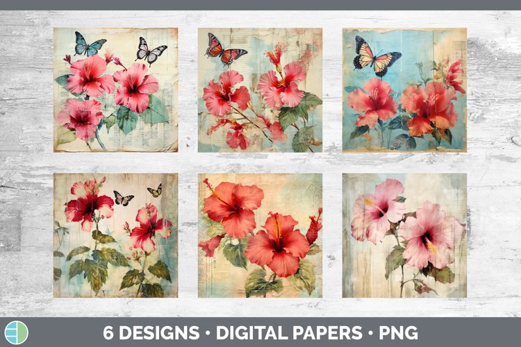 Hibiscus Flower Clipart Image 14