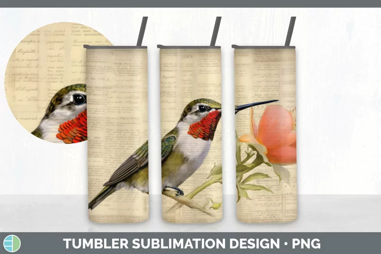 Vintage Hummingbird Bird Tumbler | Sublimation 20 oz Skinny