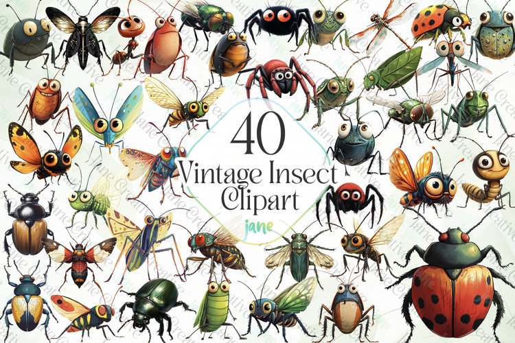 Insect Illustration Image 24