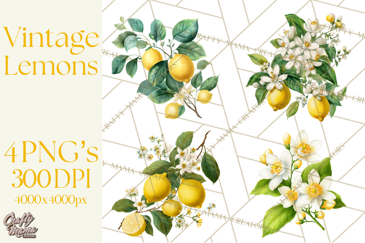 Vintage Lemon Botanical PNG Clipart, Citrus Fruit