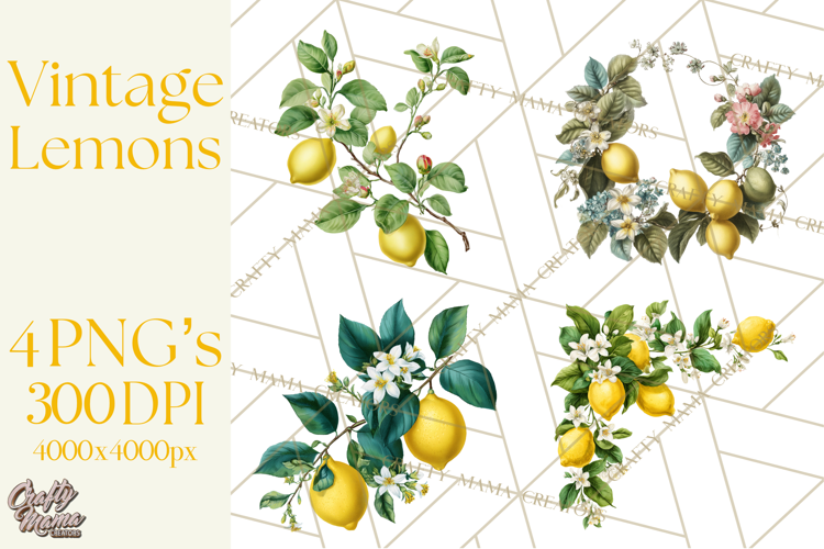 Vintage Lemon Botanical PNG Clipart, Citrus Fruit