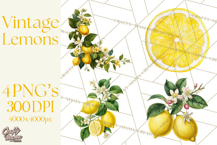 Vintage Lemon Botanical PNG Clipart, Citrus Fruit