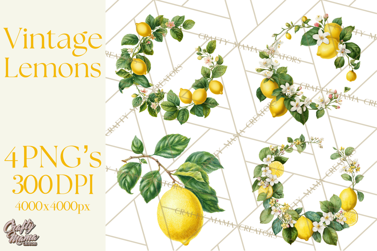 Vintage Lemon Botanical PNG Clipart, Citrus Fruit