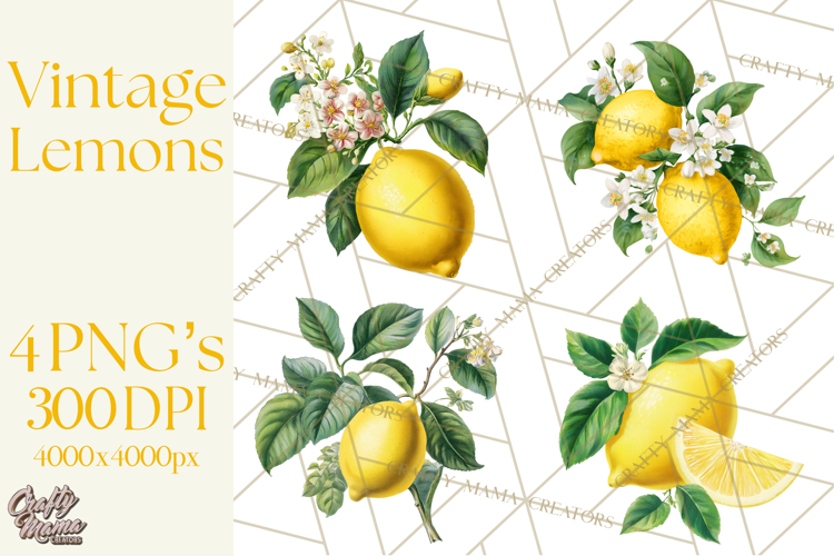 Vintage Lemon Botanical PNG Clipart, Citrus Fruit
