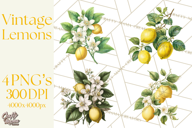 Vintage Lemon Botanical PNG Clipart, Citrus Fruit