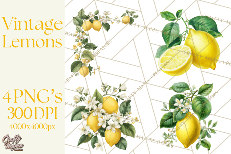 Vintage Lemon Botanical PNG Clipart, Citrus Fruit