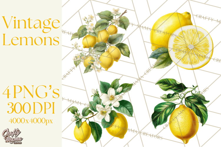 Vintage Lemon Botanical PNG Clipart, Citrus Fruit
