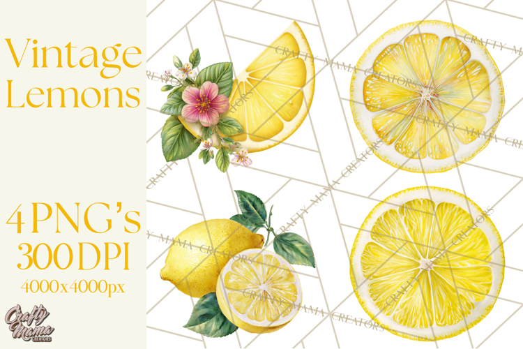 Vintage Lemon Botanical PNG Clipart, Citrus Fruit