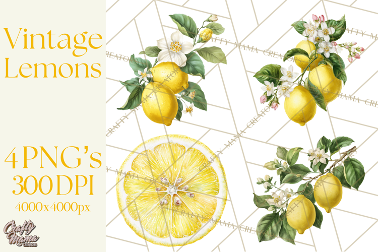 Vintage Lemon Botanical PNG Clipart, Citrus Fruit