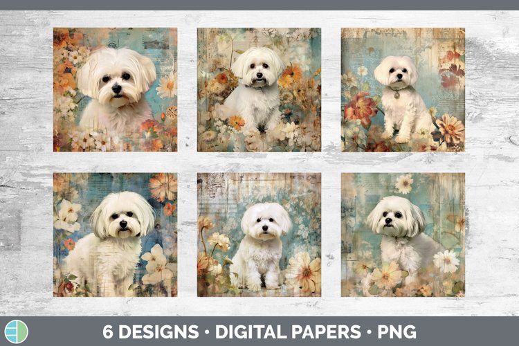 Maltese Clipart Image 7