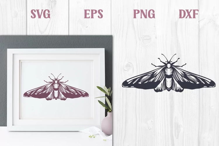 Vintage Moth | SVG cut file
