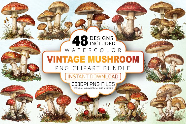 Vintage Mushroom Illustration Image 9