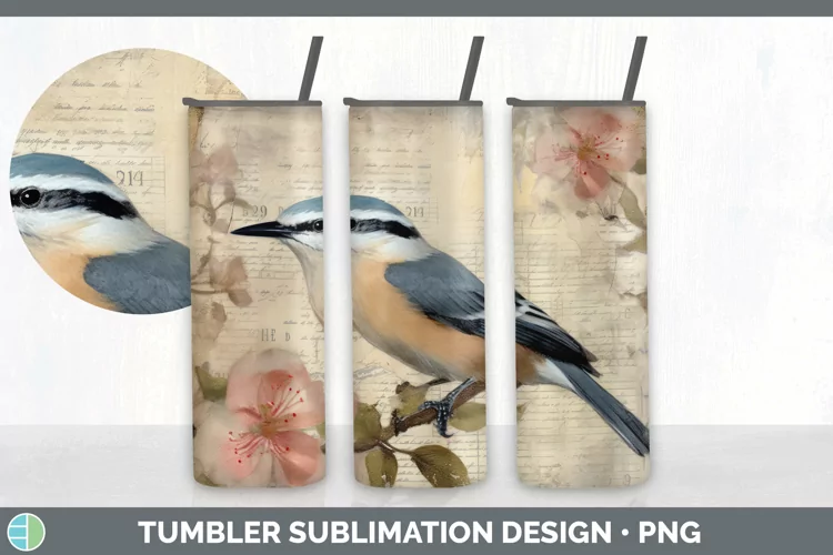Vintage Nuthatch Bird Tumbler | Sublimation 20 oz Skinny Tum