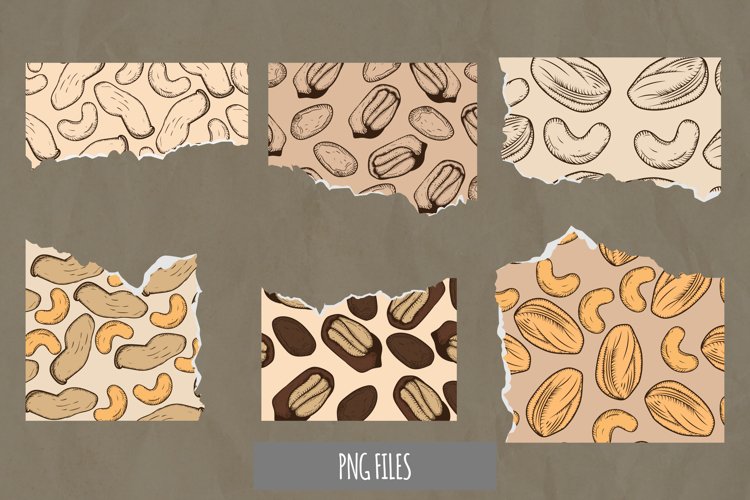 Nuts Clipart Image 9