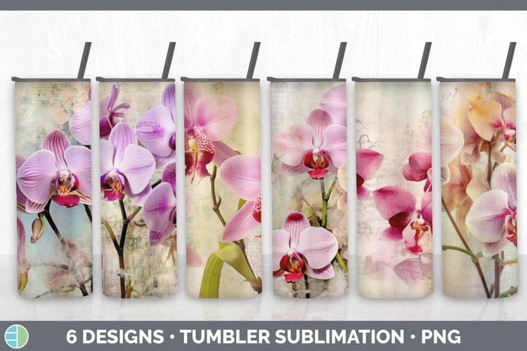 Orchid Clipart Image 18