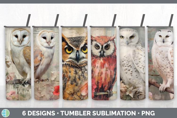 Owl Clipart Image 5