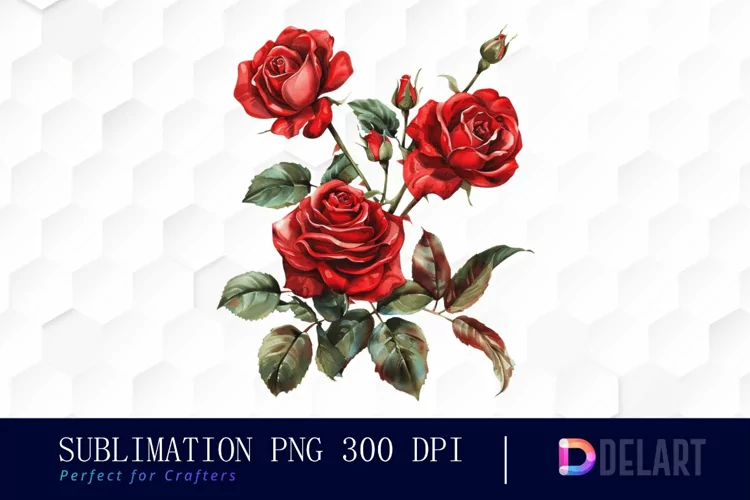 Vintage Painted Red Roses Watercolor Clipart