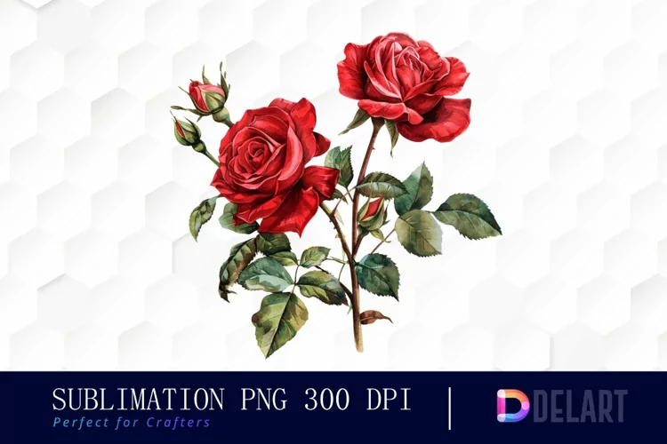 Vintage Painted Red Roses Watercolor Clipart