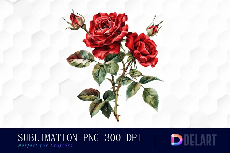 Vintage Painted Red Roses Watercolor Clipart