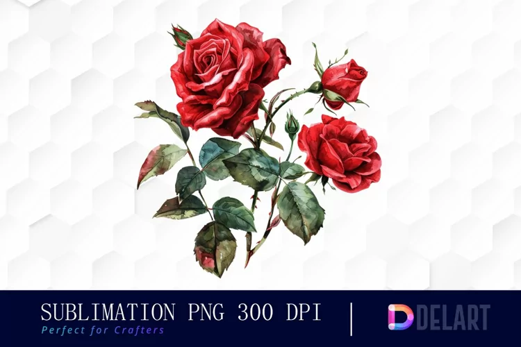 Vintage Painted Red Roses Watercolor Clipart