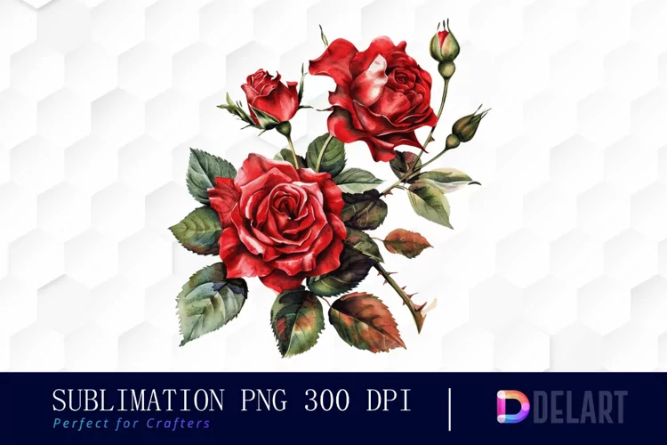 Vintage Painted Red Roses Watercolor Clipart